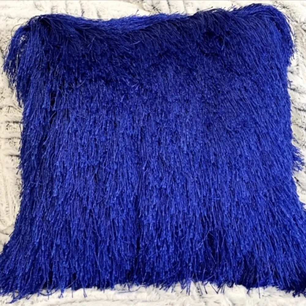 Pier 1 Imports Indoor Outdoor Fringe Pillow